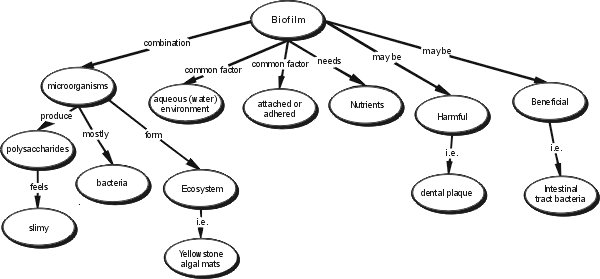 Biofilms map 