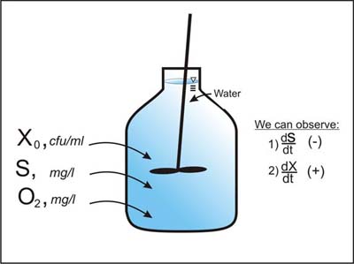 Figure 1. Microbial growth and substrate utilization in a well mixed batch container.