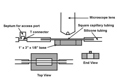 Figure 2. Diagram of a flow cell