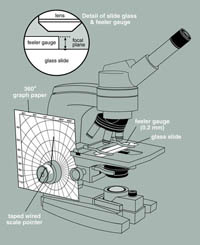 Measurement of Biofilm Thickness