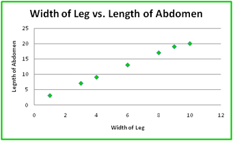 Scatter Plot for Spider