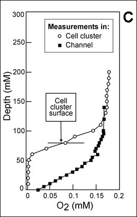 O2 Oxygen Graph